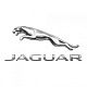 Jaguar Jaguar